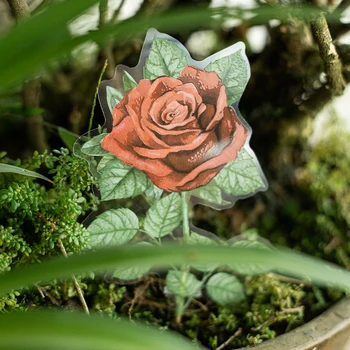 30 ambalaže u rasutom stanju naljepnice za kućne ljubimce dugački, prozirni romantične ruže, šarene naljepnice 6 vrsta