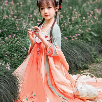 Sezone: proljeće-ljeto, kvalitetna čvrsta suknja Hanfu s vezom, 100% poliester, nevjerojatan haljina Zhongda Tong, tradicionalne nošnje duge dužine