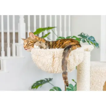 69-inčni Multi-krevet-viseća od prirodnog drva za mačke, centar za penjanje za mačke i mačiće A6901 Bež